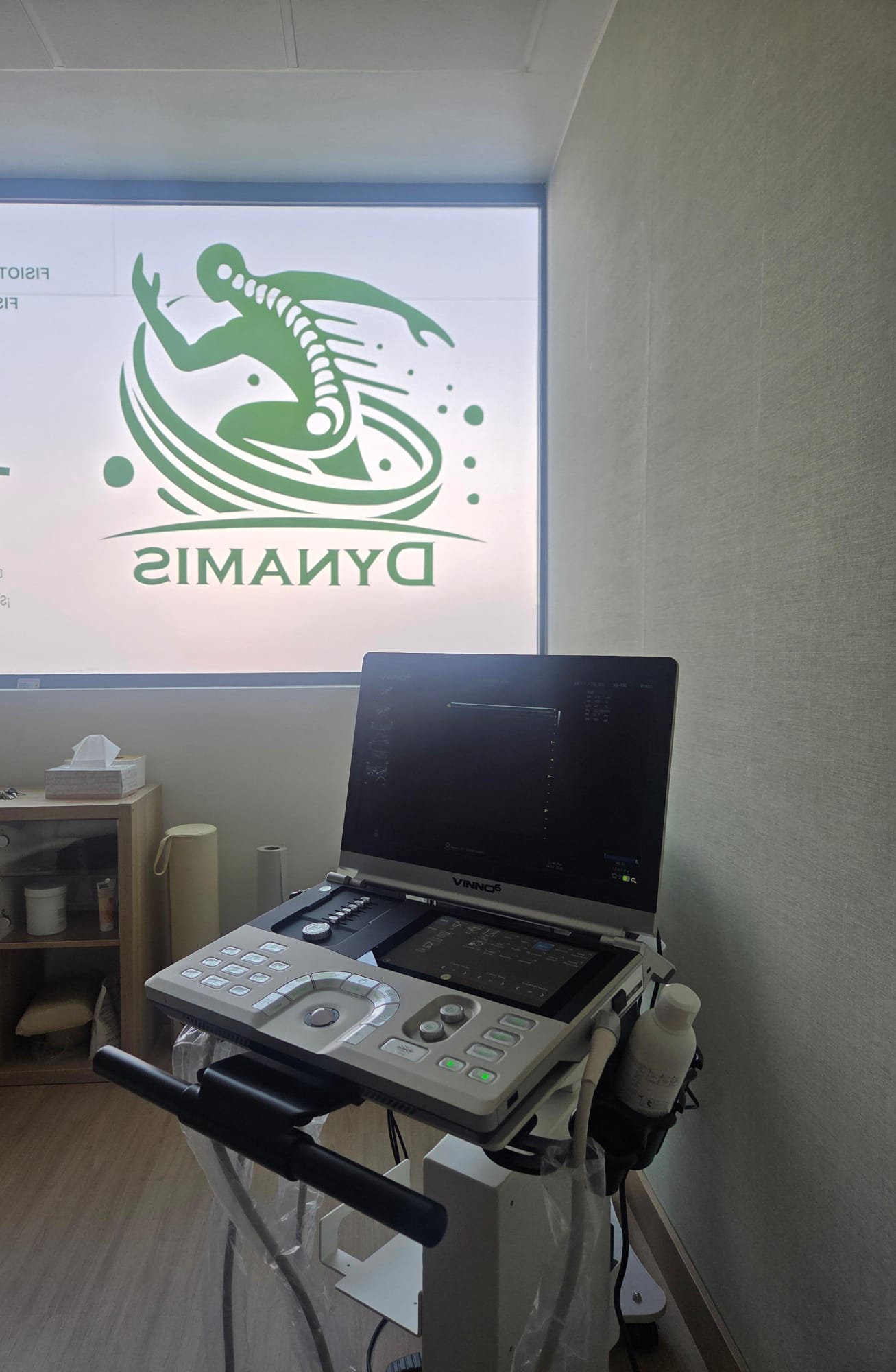 Dynamis